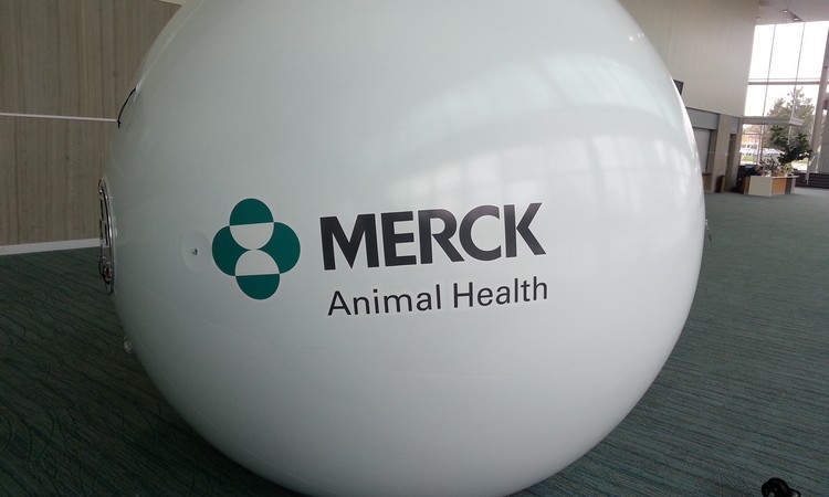 ballon muni d'un écran de rétroprojection avec un logo imprimé